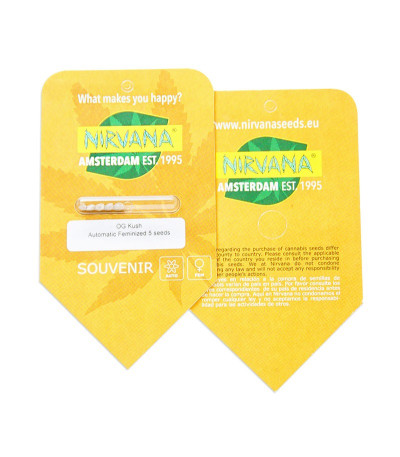 OG Kush Automatic fem (Nirvana Seeds) семена конопли