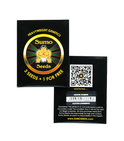 White Cheese Auto fem (Sumo Seeds) семена конопли