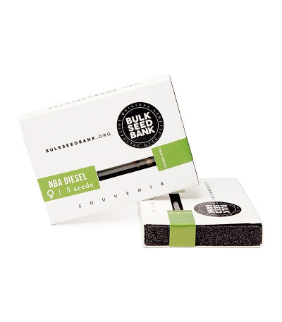 NBA Diesel fem семена конопли