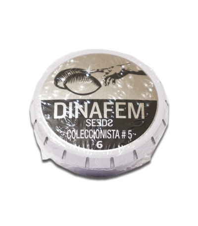 Pack Coleccionista №5 микс семян конопли