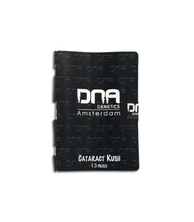Cataract Kush reg семена конопли