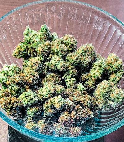 Watermelon Zkittlez Auto fem семена конопли