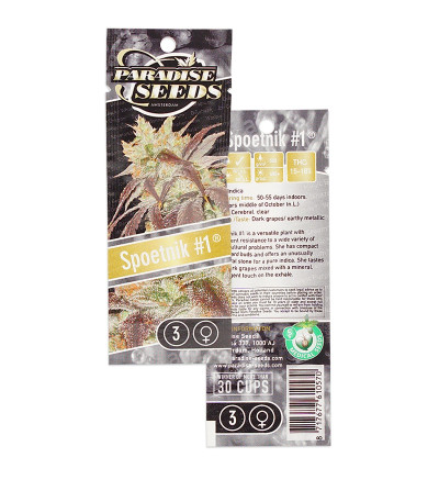 Spoetnik #1 fem (Paradise Seeds) семена конопли