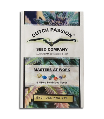 Микс семян каннабиса Colour Mix 3 в оригнальной упаковке