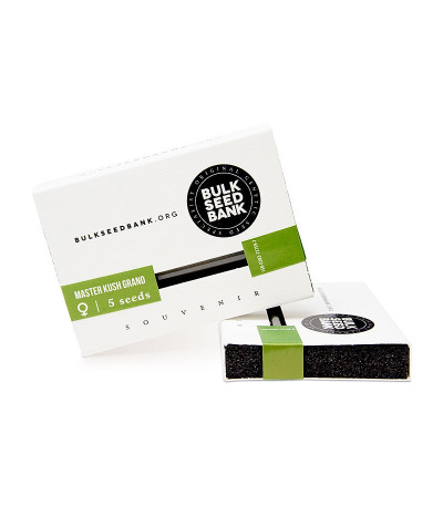 Master Kush Grand (Bulk Seed Bank) семена конопли