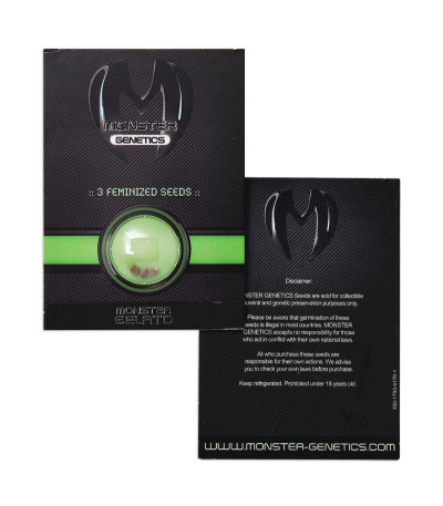 Monster Gelato (Monster Genetics) семена конопли