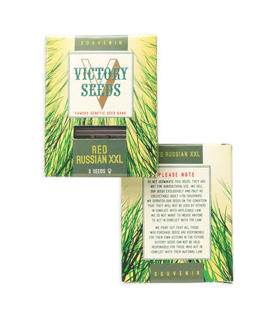 Red Russian XXL fem (Victory Seeds) семена конопли
