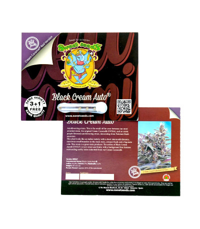 Black Cream Auto fem (Sweet Seeds) семена конопли