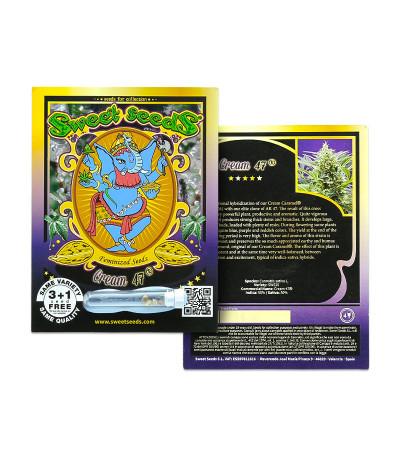 Cream 47 fem (Sweet Seeds) семена конопли