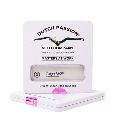 Taiga #2 fem семена конопли