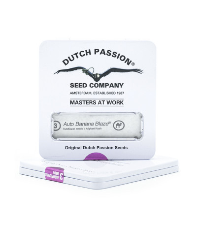 Auto Banana Blaze (Dutch Passion) семена конопли