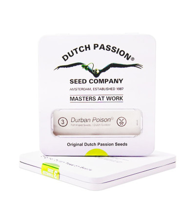 Durban Poison fem (Dutch Passion) семена конопли