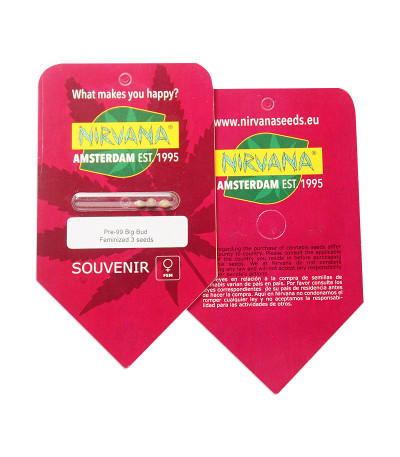 Pre-99 Big Bud fem семена конопли
