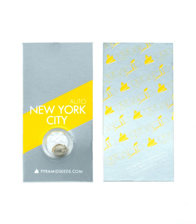 Auto New York City fem (Pyramid Seeds) семена конопли
