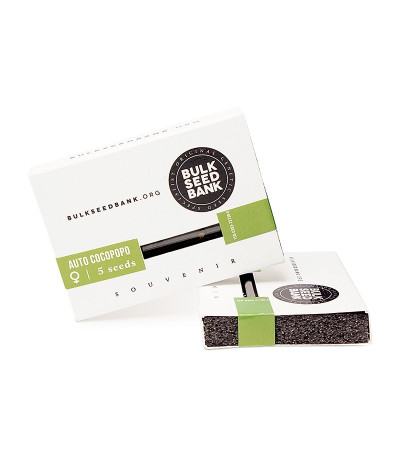 Auto Cocopopo fem семена конопли