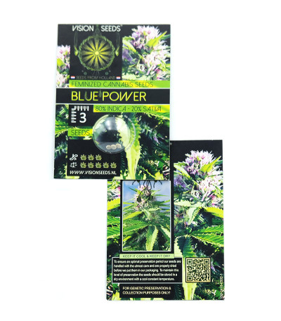 Blue Power fem (Vision Seeds) семена конопли