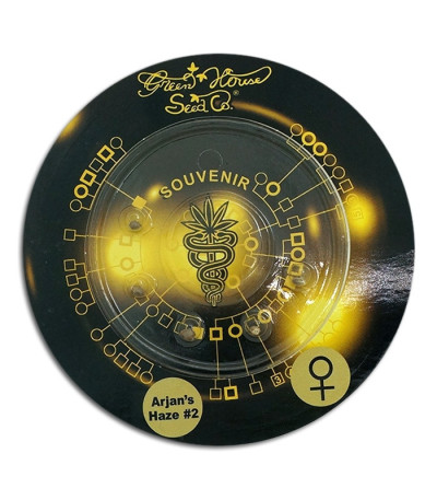 Arjan's Haze #2 fem семена конопли