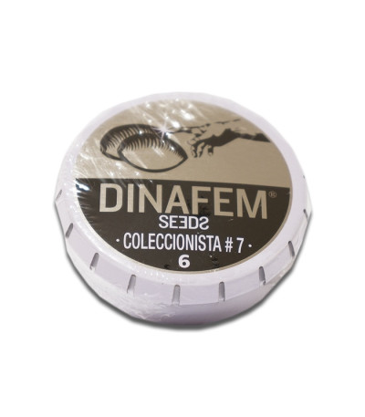 Pack Coleccionista №7 микс семян конопли