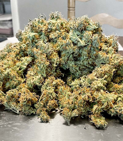 Gorilla Glue #4 fem (Blimburn Seeds) семена конопли