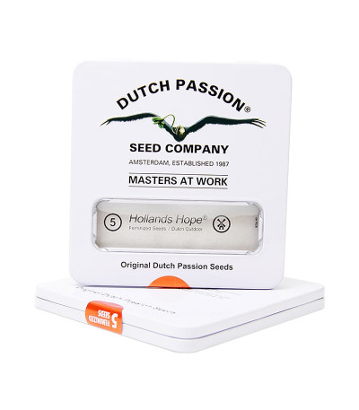 Семена каннабиса в оригинальной упаковке