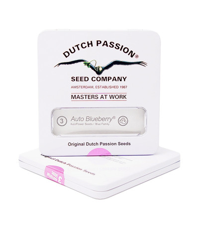 Auto Blueberry fem (Dutch Passion) семена конопли