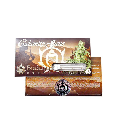 Buddha Calamity Jane auto fem (Buddha Seeds) семена конопли