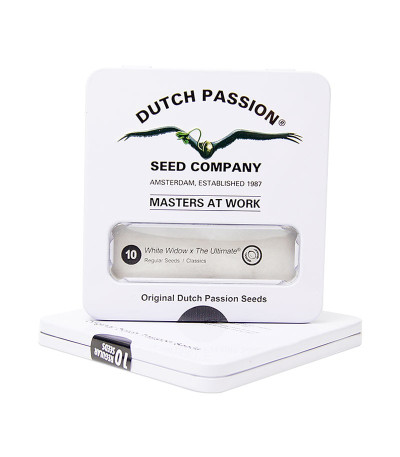 Семена каннабиса White Widow X The Ultimate regular в оригинальной упаковке
