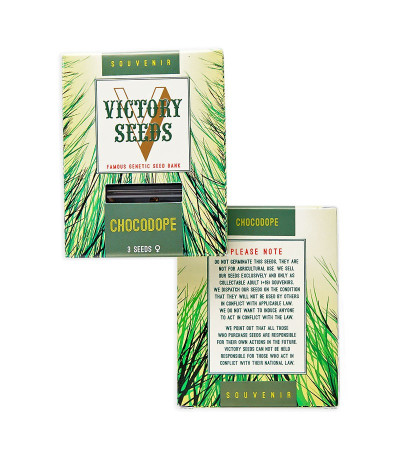Chocodope fem (Victory Seeds) семена конопли