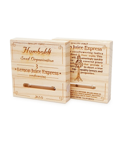 Lemon Juice Express Auto fem семена конопли