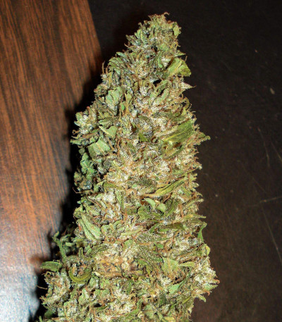 Auto Super Hash fem (Pyramid Seeds) семена конопли