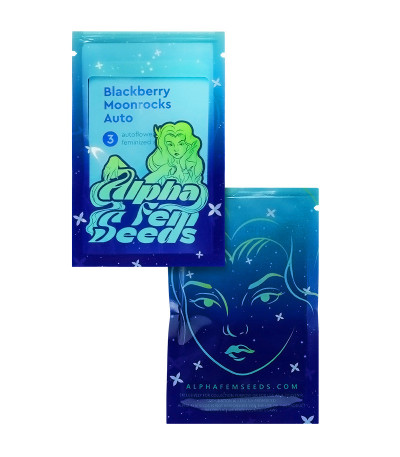 Blackberry Moonrocks Auto fem (AlphaFem Seeds) семена конопли