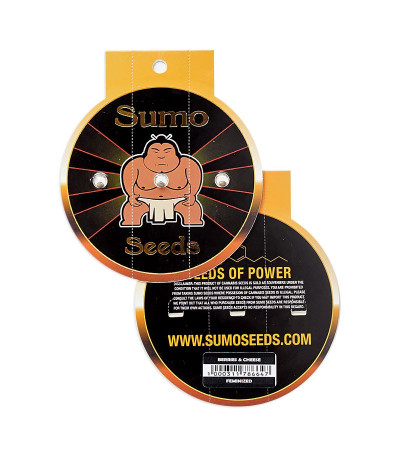 Berries & Cheese fem (Sumo Seeds) семена конопли