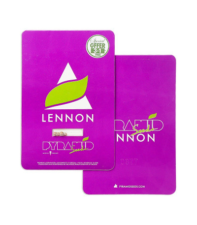 Lennon fem (Pyramid Seeds) семена конопли