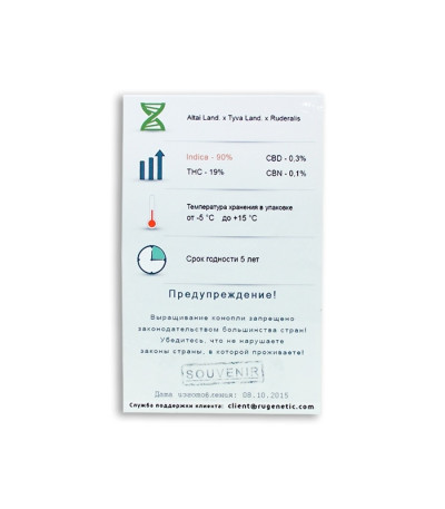 Original Siberian auto fem (Russian Genetic) семена конопли