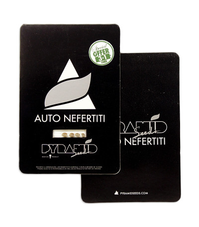 Auto Nefertiti fem (Pyramid Seeds) семена конопли