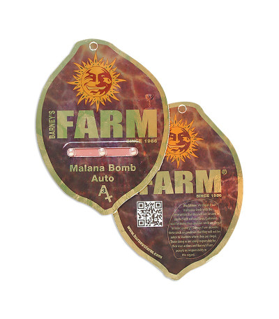 Malana Bomb Auto fem семена конопли