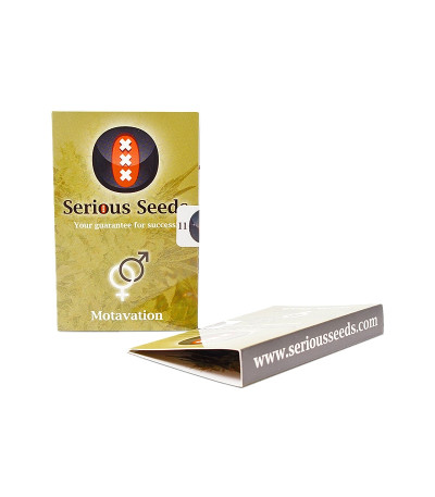 Motavation reg (Serious Seeds) семена конопли