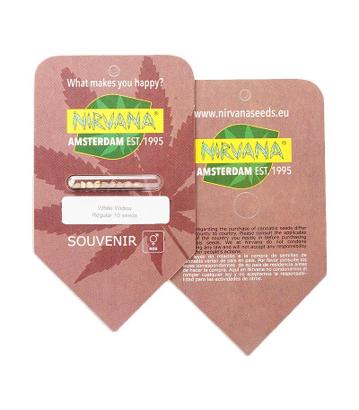 White Widow reg (Nirvana Seeds) семена конопли