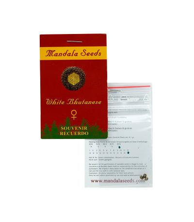 White Bhutanese fem семена конопли