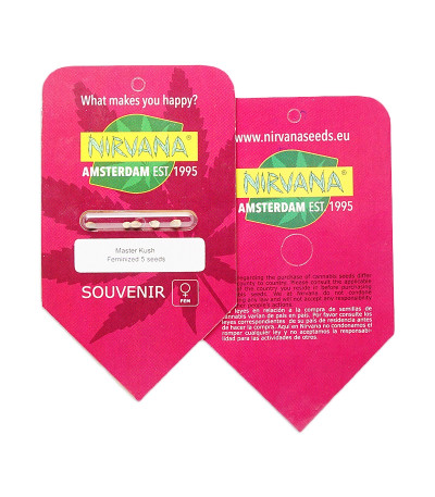 Master Kush fem (Nirvana Seeds) семена конопли