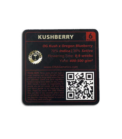 Kushberry fem (DNA Genetics) семена конопли