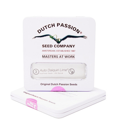 Auto Daiquiri Lime fem (Dutch Passion) семена конопли