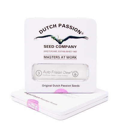 Семена конопли Auto Frisian Dew в оригинальной упаковке