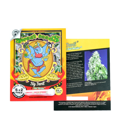 Big Devil F1 Fast Version fem (Sweet Seeds) семена конопли