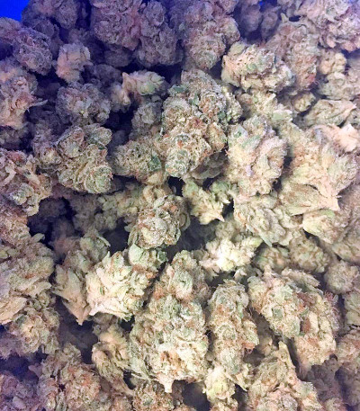 Blue Kush fem (Dinafem Seeds) семена конопли