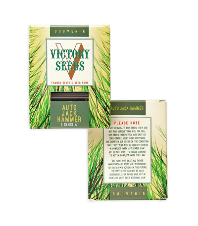 Auto Jack Hammer fem (Victory Seeds) семена конопли