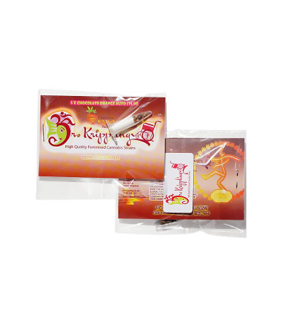 Chocolate Orange Auto fem (Dr. Krippling Seeds) семена конопли