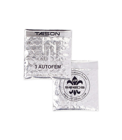 Taison Auto fem (VIP seeds) семена конопли