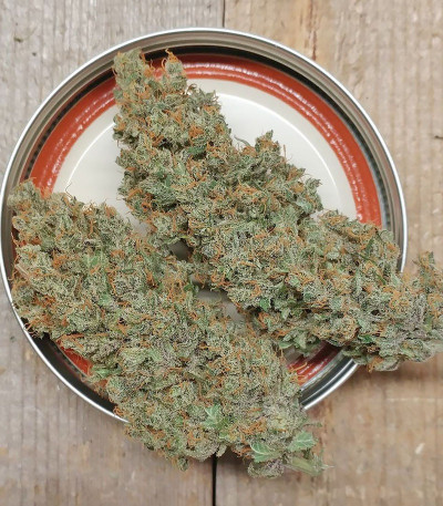 Bud Bud Bling Tingz fem (Dr. Krippling Seeds) семена конопли