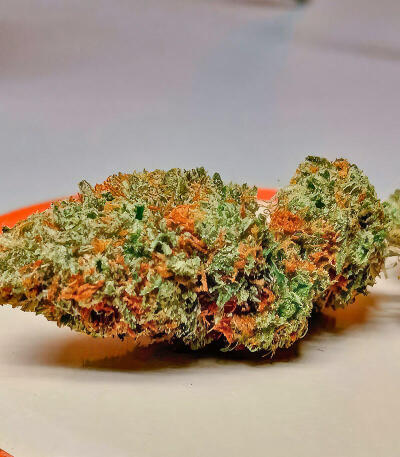 Insane OG семена конопли